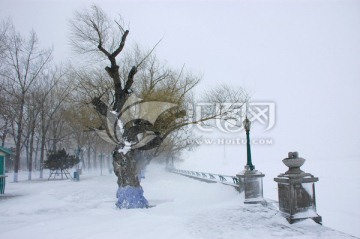 哈尔滨雪景