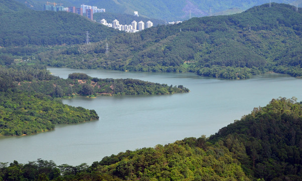 湖景