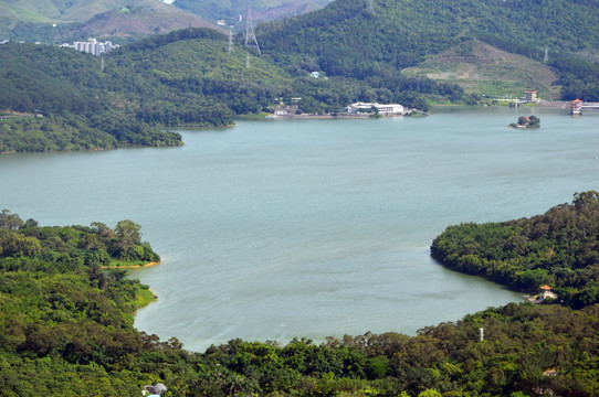 湖景色