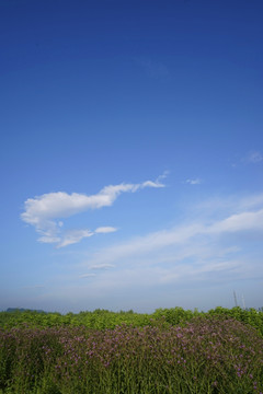 天空云彩
