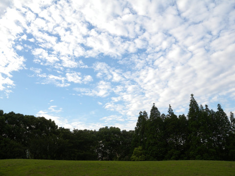 蓝天 白云 草地