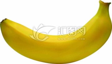 banana香蕉