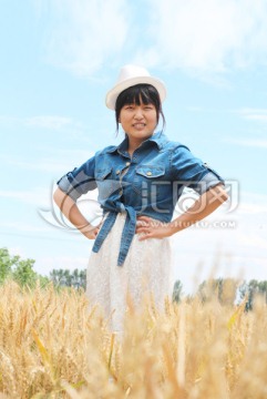 麦田摄影