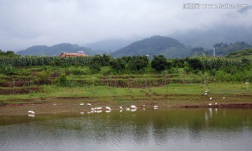 美丽乡村