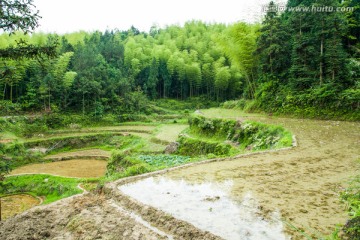 梯田 农田