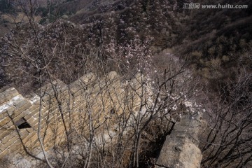 箭扣长城花季 城墙