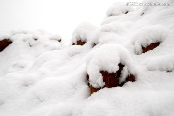 雪