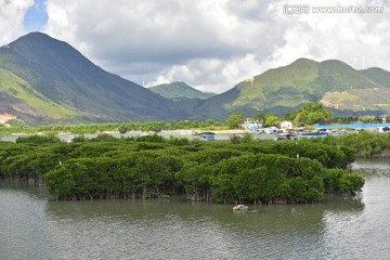 红树林保护区