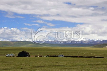 青藏高原雪山草原牧场