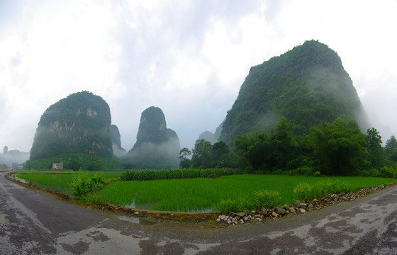 乡村风景 晨雾