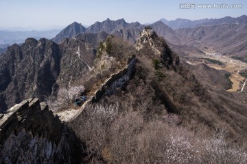 箭扣长城花季