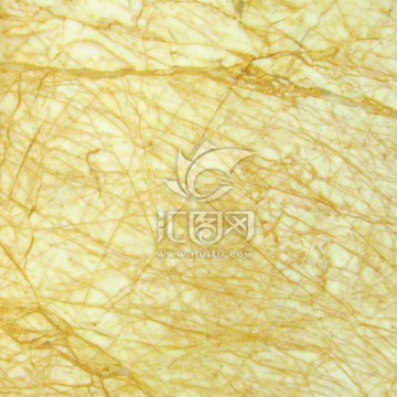 鹅毛金