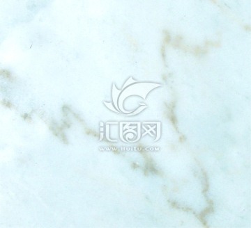 广西白