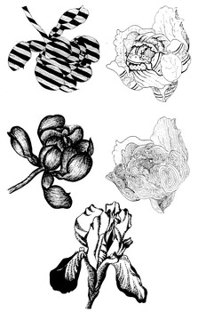 抽象黑白花卉 分层