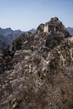 箭扣长城花季