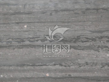 灰木鱼浅色