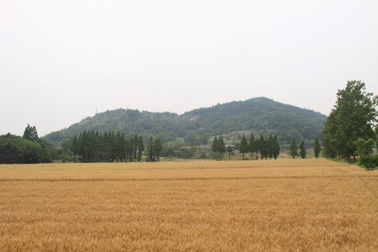 环巢湖 白山镇