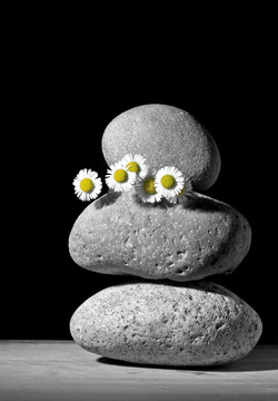 石与花