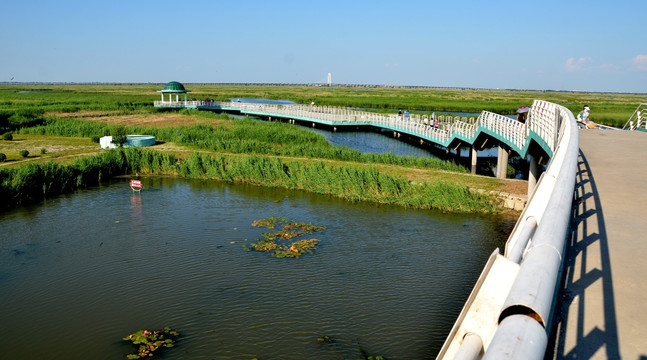 大庆湿地公园