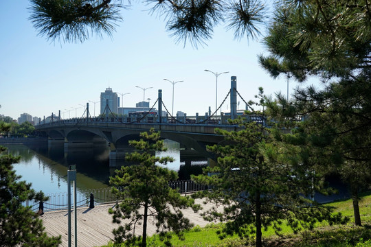 通洲大运河森林公园