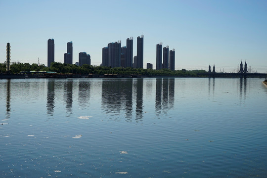 通洲大运河森林公园