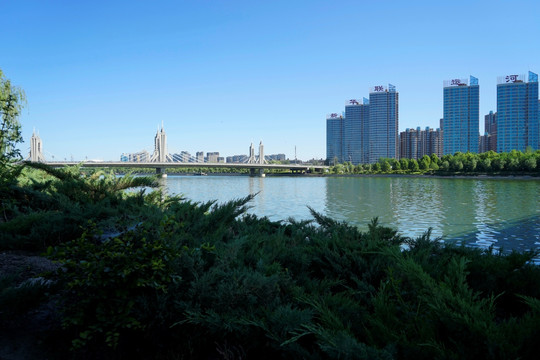 通洲大运河森林公园