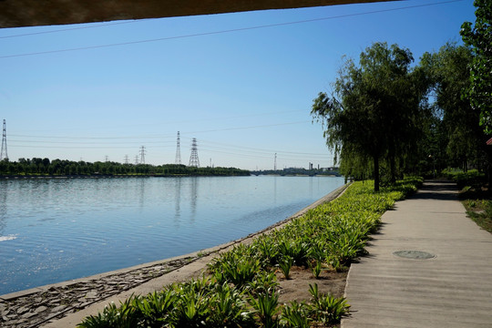通洲大运河森林公园