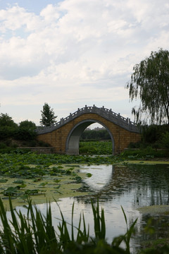 池塘