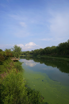 通洲大运河