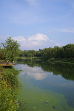 公园