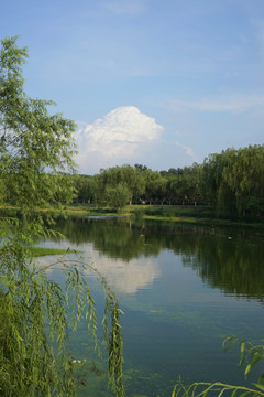 公园