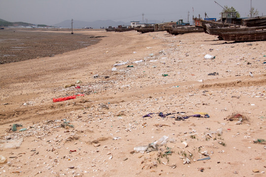 塑料污染的滩涂