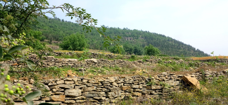 田野 田园风景