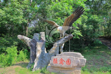 哈尔滨北方森林动物园