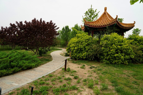 公园
