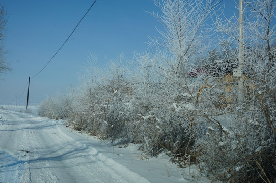 雪景路