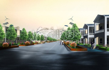 新农村道路绿化