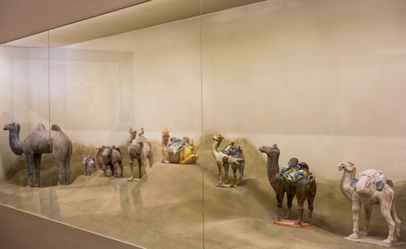 唐代骆驼俑 博物馆橱窗
