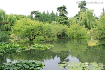 杭州西湖湿地