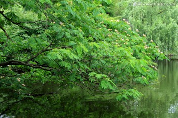 西湖 绿色生态