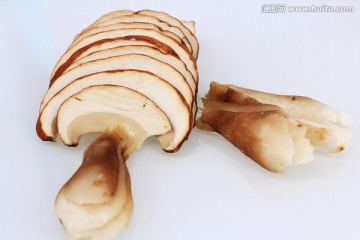 山珍野味 野生蘑菇