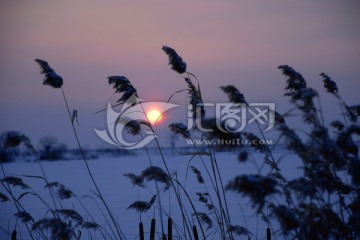 夕阳