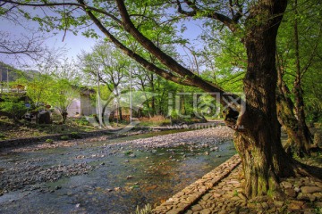 泾县汀溪景区