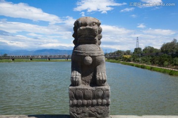 北京卢沟桥的狮子