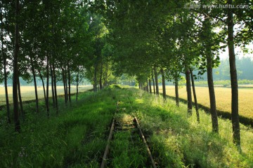 田野里的老铁道