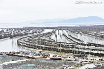 霞浦滩涂