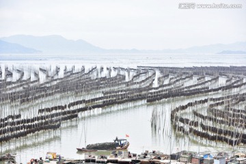 霞浦