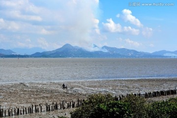 深圳湾风光