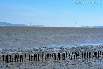 深圳湾风光