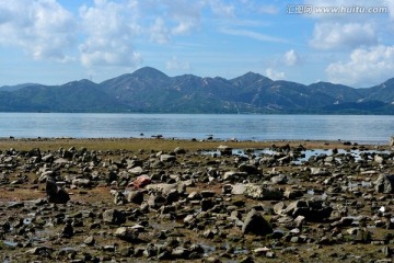 深圳湾风光